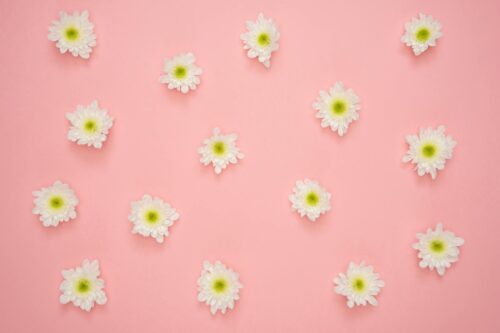 white and yellow flower on pink wall