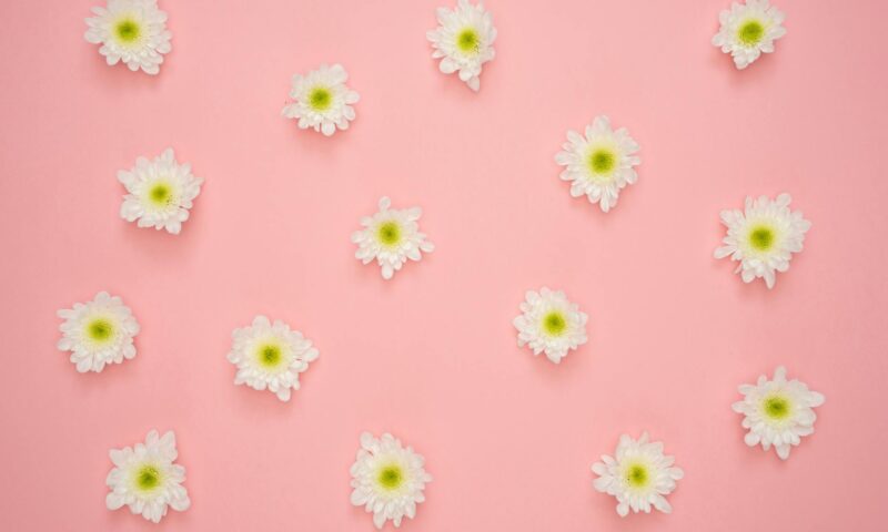 white and yellow flower on pink wall